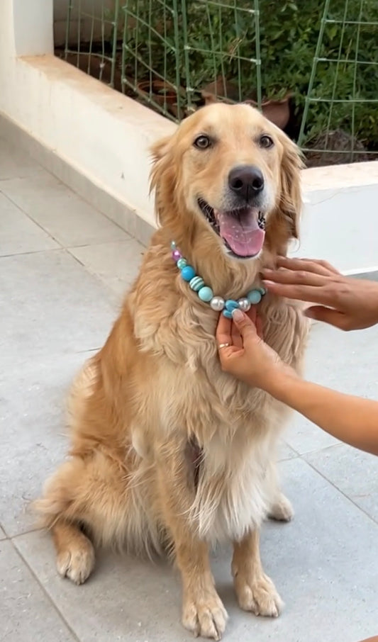 Sky Bloom Dog Necklace