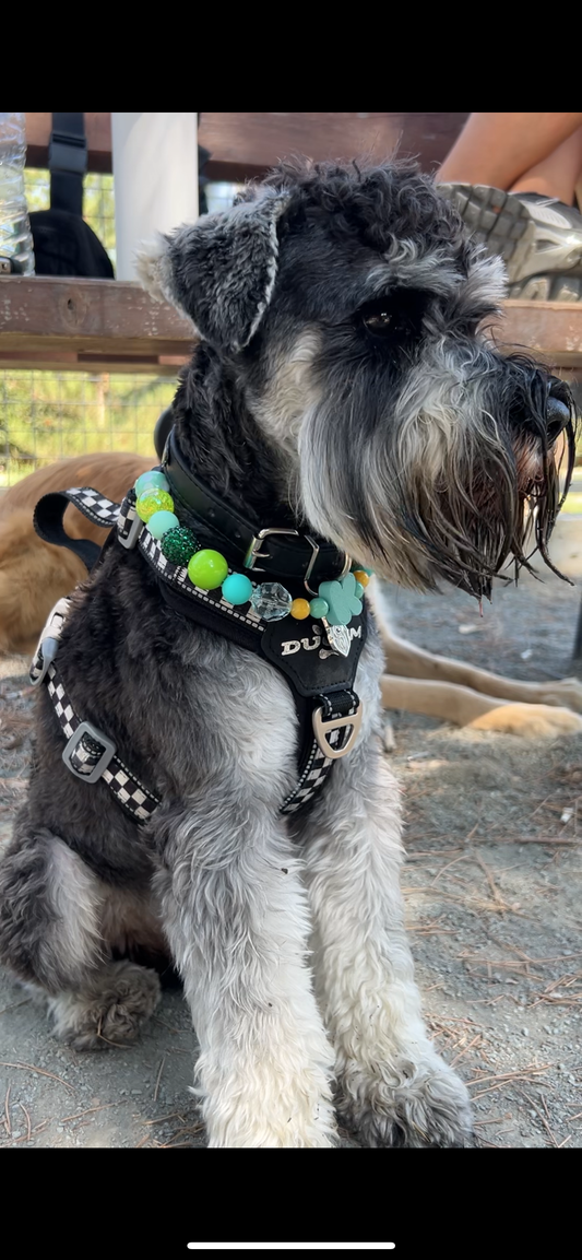 Mint Mojito Dog Necklace