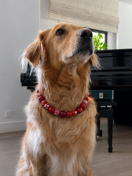 Cherry Crush Dog Necklace