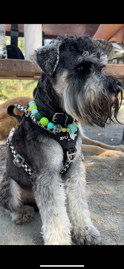 Mint Mojito Dog Necklace