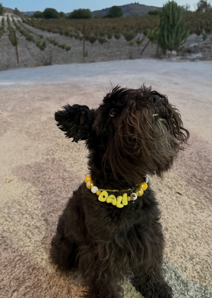 Lemon Pop Dog Necklace